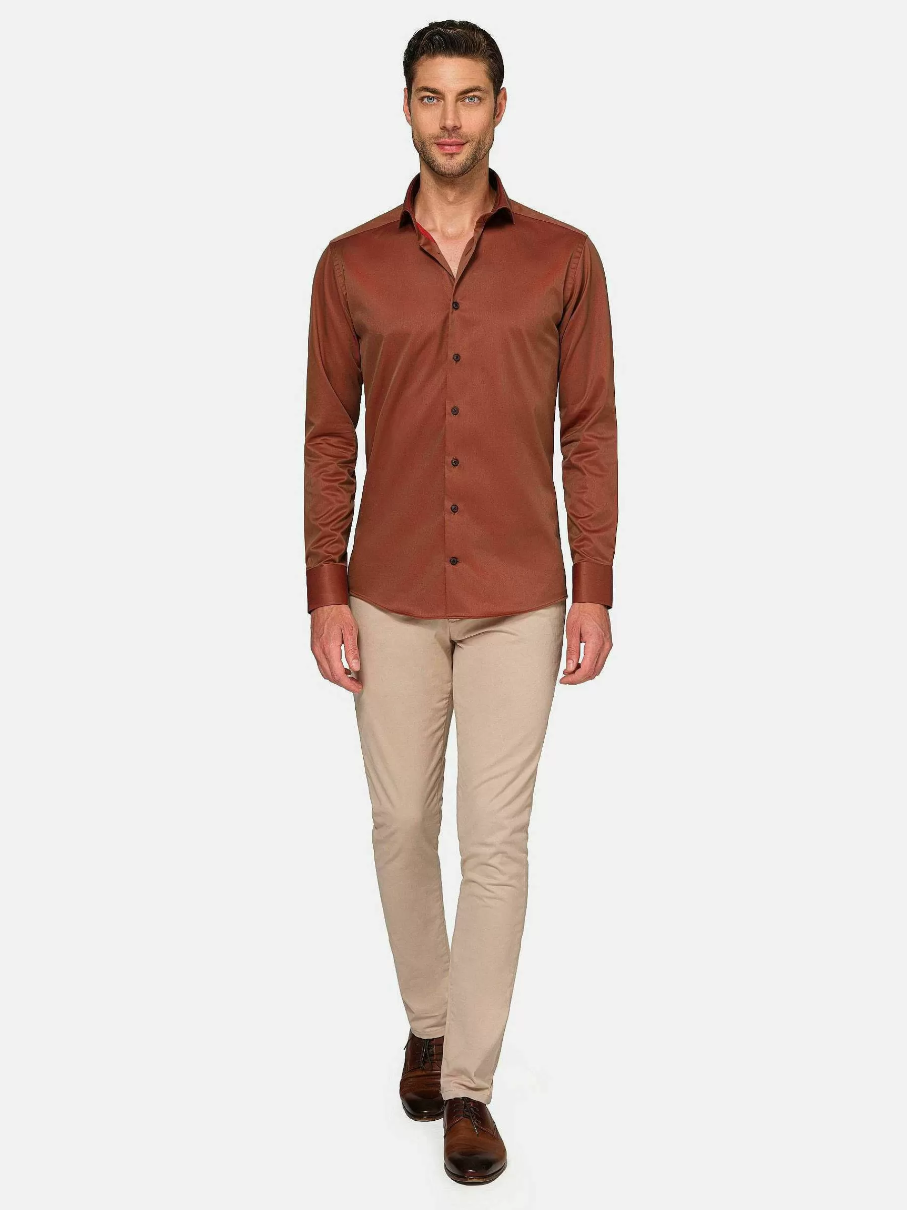 Wam Denim Overhemd Lange Mouwen<Tempesta Plain Cotton Light Brown Overhemd Lange Mouw